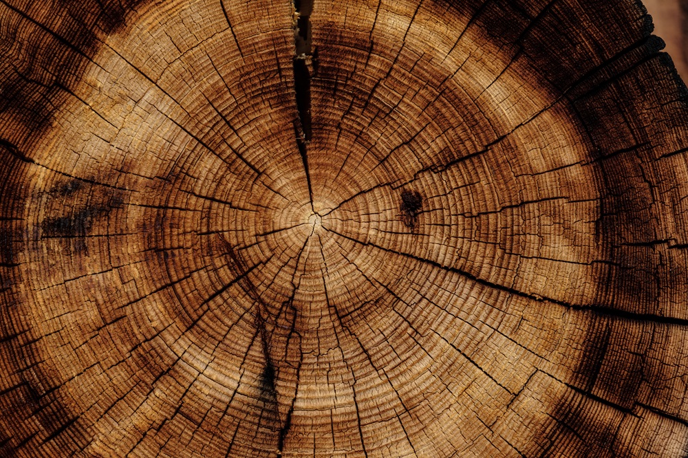 trends in vloeren: hout, natuurlijk en duurzaam